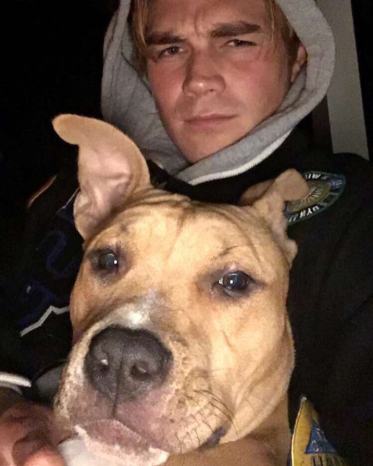 參演該片的K. J. Apa原本就是一名相當愛護各種動物的人，常會PO出一些與動物們的合照來跟粉絲們分享，因此看到那段疑似虐狗的影片也令他十分難過。（翻攝自K. J. Apa推特）