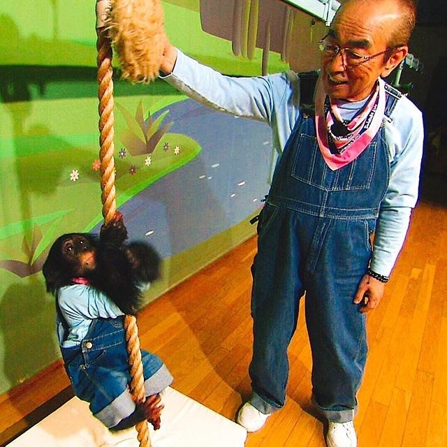 小龐女兒布丁挑戰攀繩。（翻攝自志村動物園官方IG）