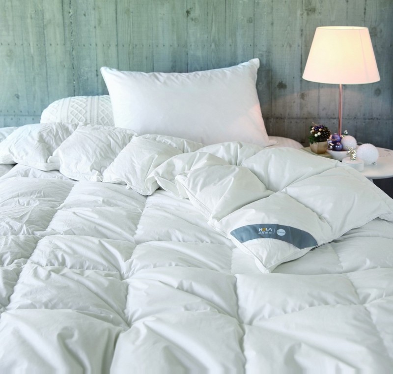 HOLA 9010可水洗奈米科技防螨抗菌羽絨冬被，原價12,980元，特價5,980元，再送支撐型小羽毛枕1入（市價1,080元）。（HOLA提供）