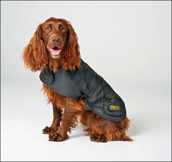 Barbour International寵物系列重機款油布外套，3,600元。