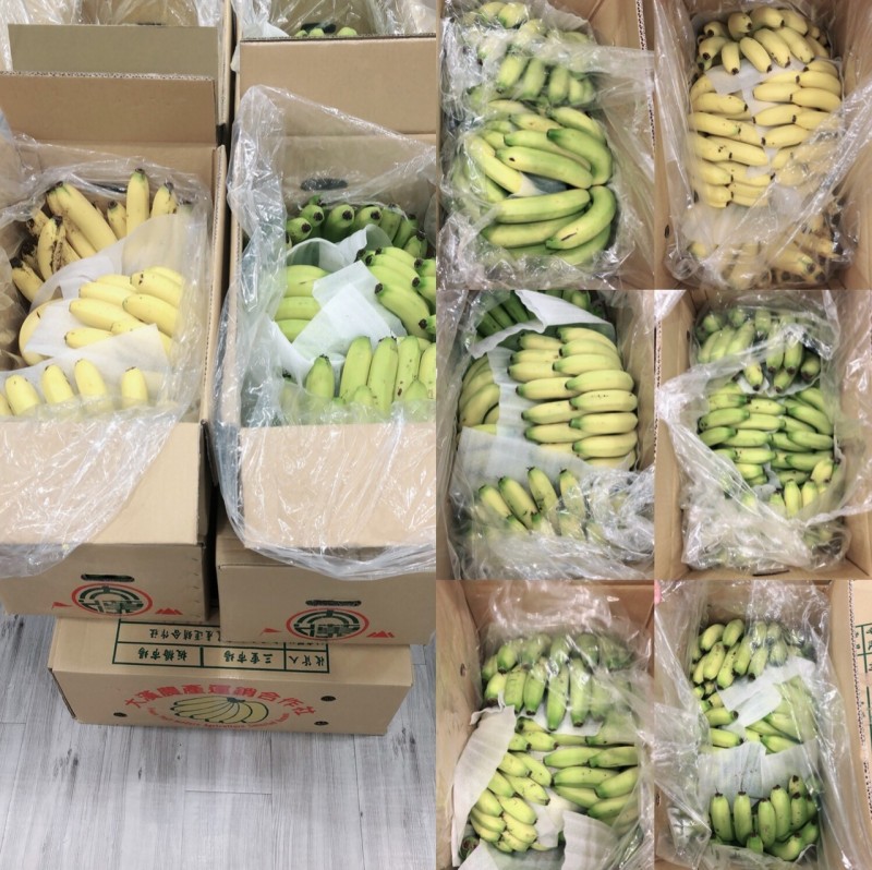 沈嶸發心購入大量香蕉。（沈嶸提供）