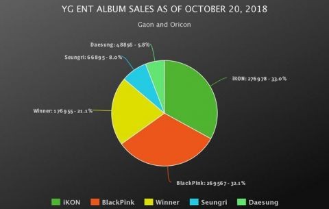 YG公司專輯銷售量比例。（翻攝自instiz）