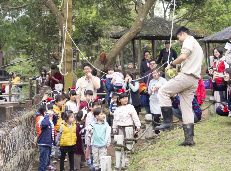 動物派對開始大 小朋友玩hen大 自由娛樂