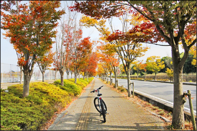 旅遊 實現我的旅遊夢 秋水共長天一色 騎單車遊日本琵琶湖 自由娛樂