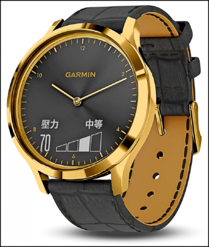 garmin 30