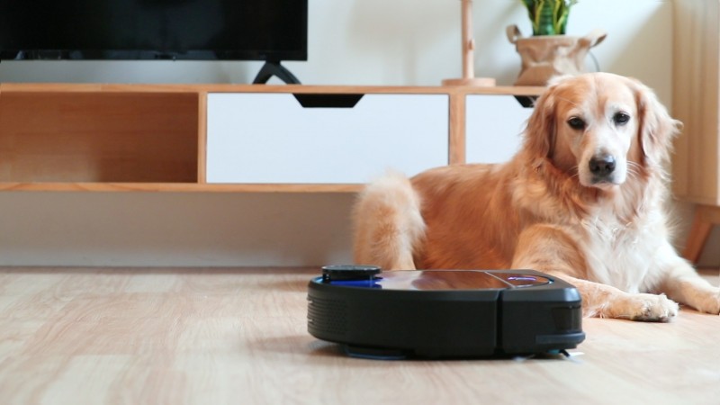 HOBOT LEGEE 7掃拖機器人，內建寵物等8種清潔模式。（業者提供）