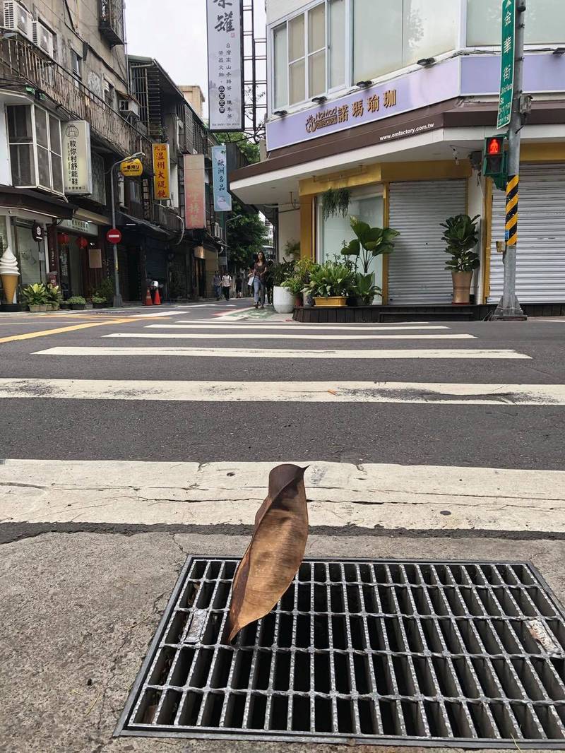 搞了半天,那隻鳥根本只是落葉。(翻攝自九把刀臉書)