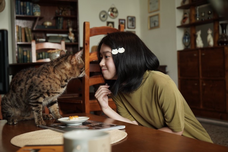 嚴正嵐在《我的老闆是隻貓》有許多與貓咪的可愛互動。（七十六号原子、myVideo提供）