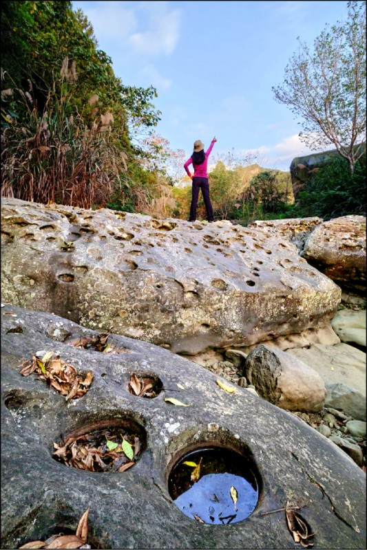 【吃遊聯盟】遊走迷霧森林─苗栗加里山消暑趣