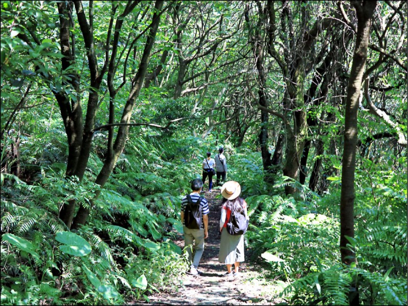 吃遊聯盟 古道健行 擁抱湛藍海天 新北金山清新小旅行 自由娛樂