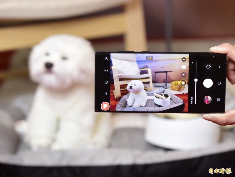 三星S22 Ultra人像模式新增可辨識寵物。(記者吳佩樺攝)