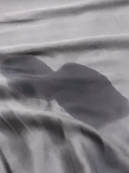 鳳梨曾曬濕透床單照。（翻攝自IG）