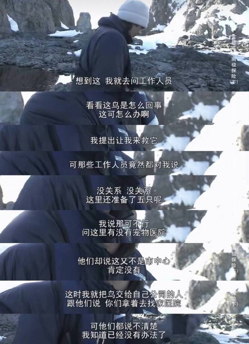 金城武曾難過回憶起在片場中目睹小鳥的死亡。（翻攝自微博）