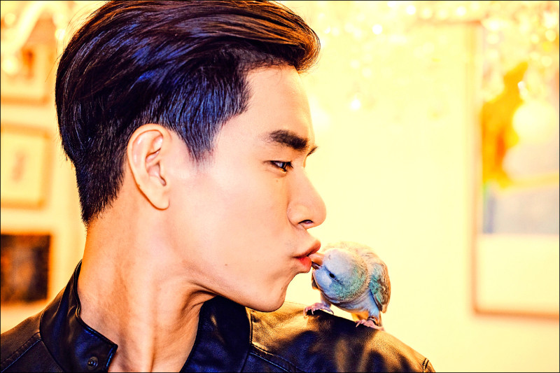 李齊最愛的萌寵就是和尚鸚鵡「Conan」，人鳥愛玩親親互動逗趣。（李齊提供）