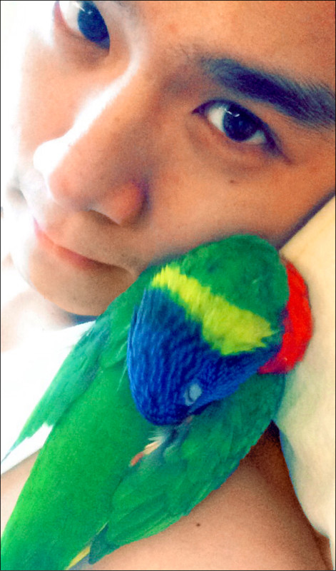 李齊和阿鸚2.0互動不如Conan。（李齊提供）