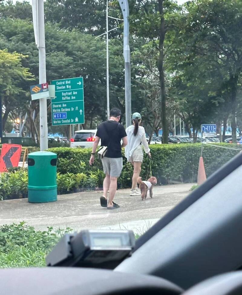 老高夫妻出門散步被偶遇！小茉真實身材網驚呆：也太好 - 自由娛樂