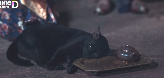 黑貓在拍攝時出現劇烈抽搐的逼真反應，因此劇組被質疑虐貓。（翻攝自X）