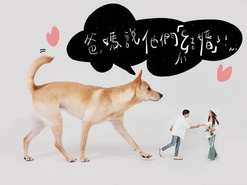 孫協志二婚「甜娶小10歲夏宇童」 登記日藏可愛寓意
