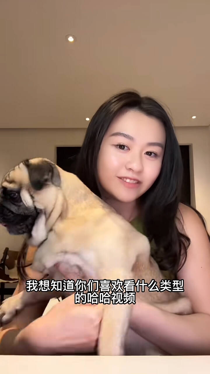 沈日同框愛犬，展現清純美麗外貌。（香港星島日報）