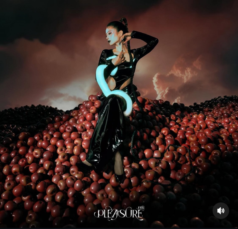 蔡依林分享坐擁蘋果山的視覺照片。(翻攝自IG)