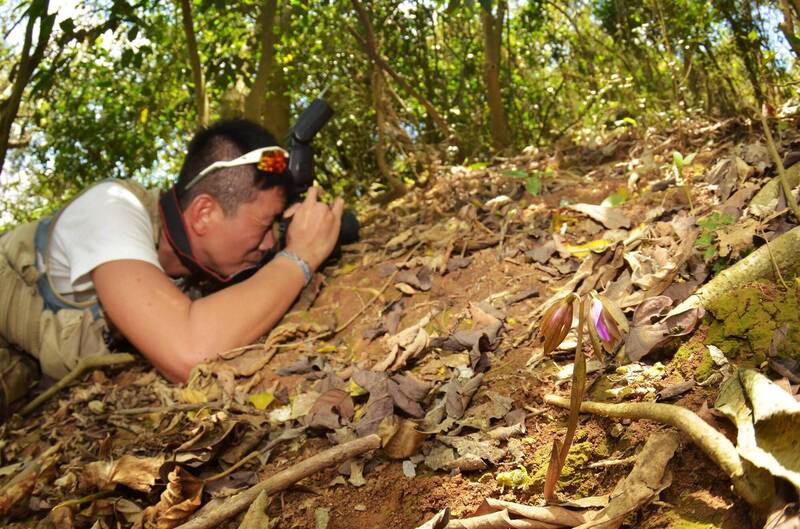 阿傑趴在地上努力拍攝的是壽山季節限定版的脈葉蘭（照片右下），這類蘭花迷你精緻，若沒有仔細看，很難找到，加上只有特定季節是花期更加珍貴。（熱血阿傑提供）