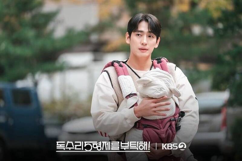 《拜託老鷹5兄弟》成為6月份觀眾最愛的韓劇TOP 1。（翻攝自KBS）