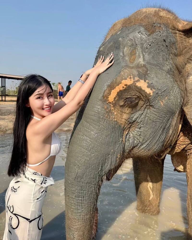 高敏敏體驗替大象洗澡。（翻攝自IG）