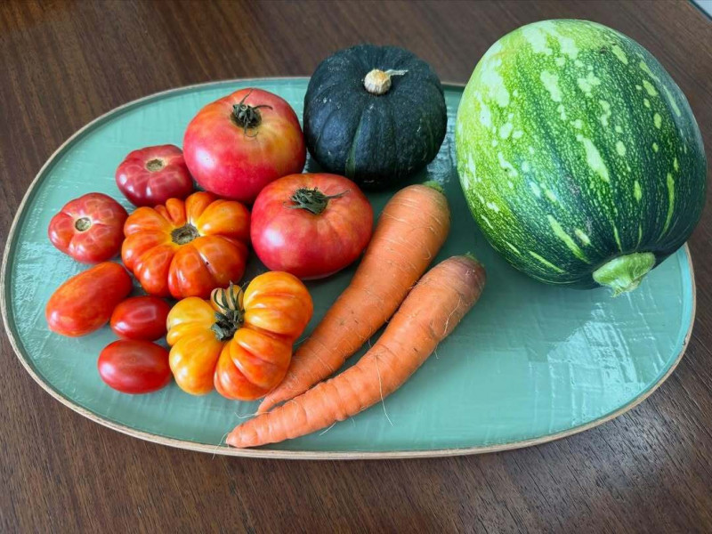 孫藝真今在社群曬出自己親手栽植的有機蔬菜照。（翻攝自IG）