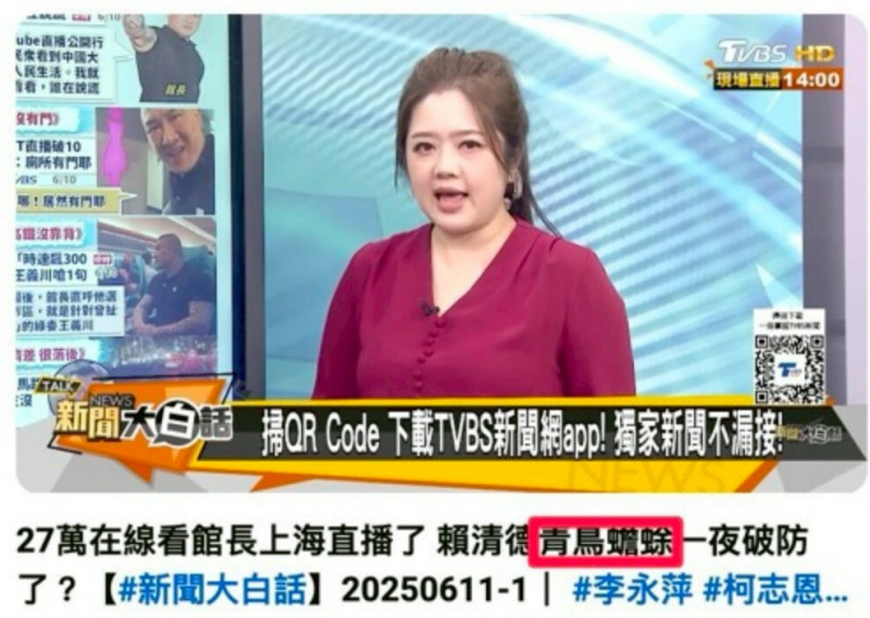 翟翾昔主持《新聞大白話》，曾以「青鳥蟾蜍」暗諷字樣為題做談論。（翻攝自網路）