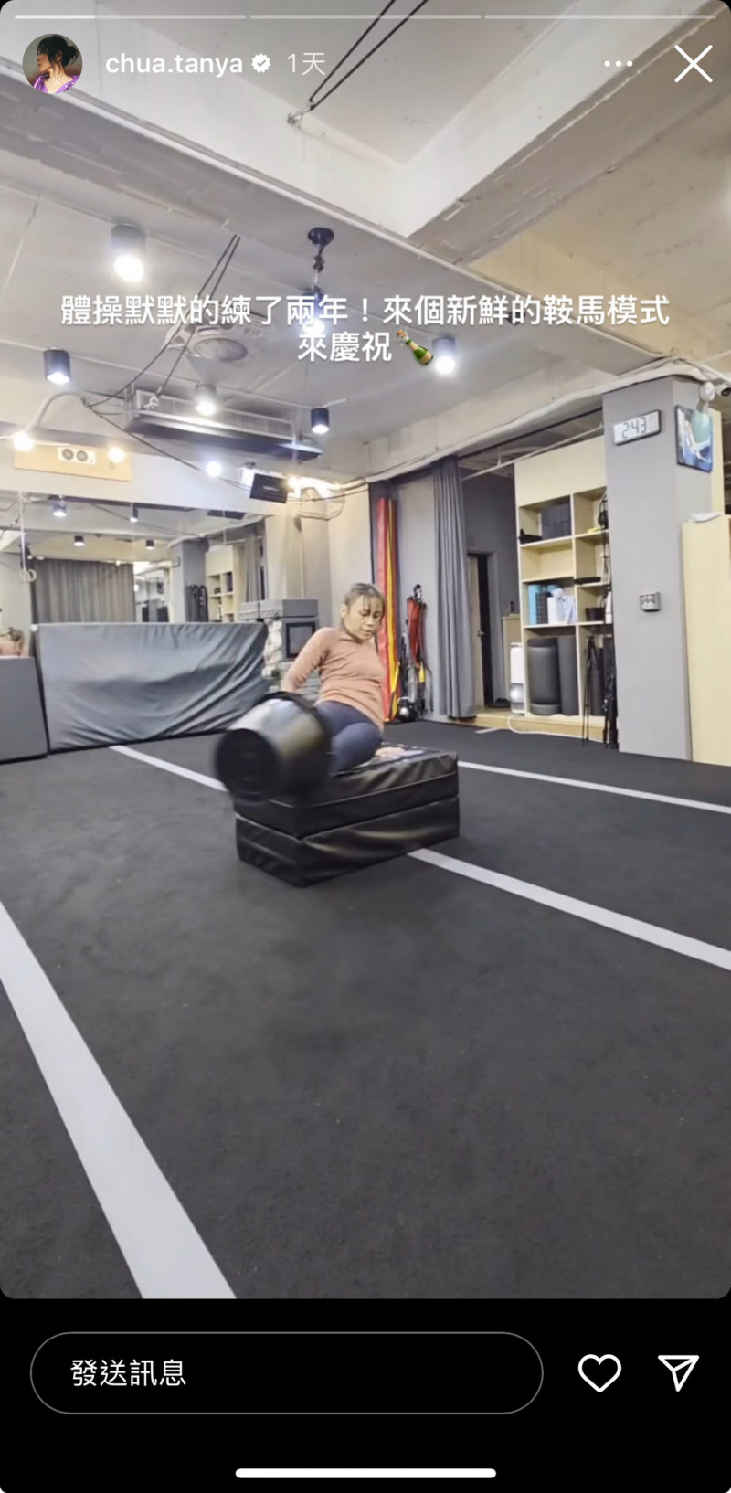 蔡健雅分享練習鞍馬的成果。（翻攝自IG）