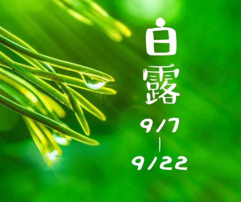 9／7進入白露時節  防秋病就靠這些妙方