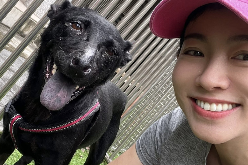 米可白愛犬狂拉肚子 拆飼料驚見滿袋蟲卵