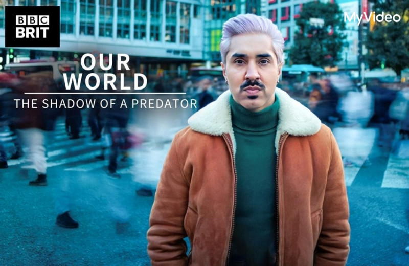 《我們的世界：娛樂獵食者的黑幕》在甫播出便登上節目榜冠軍。（MyVideo提供）