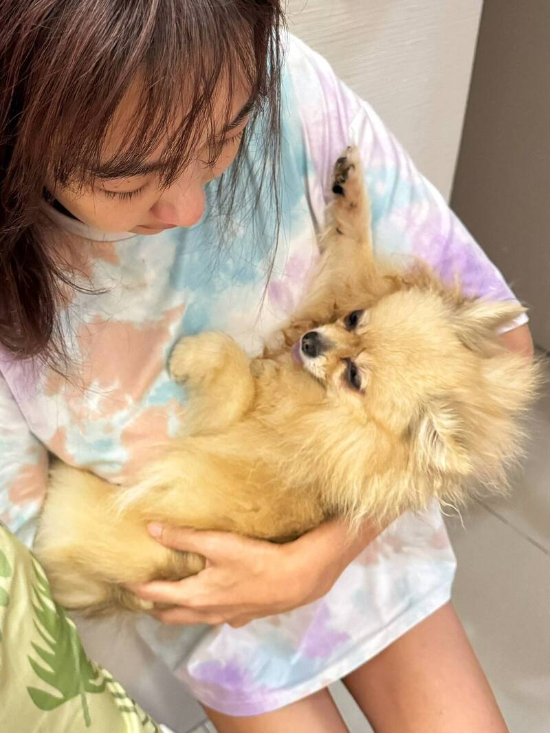 李宓今年7月才告別狗女兒Toffie。（翻攝自臉書）
