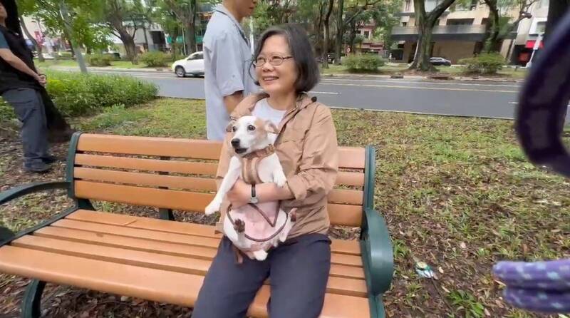 前總統蔡英文帶著愛犬「鳳梨妹」、「樂樂」，向同志遊行的隊伍揮手致意。（資料照，蔡英文辦公室提供）