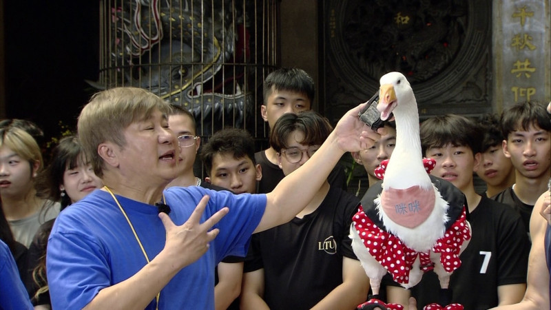 胡瓜在《綜藝大集合》錄影現場遇見穿著米妮裝的寵物鵝「咪咪」。（民視提供）