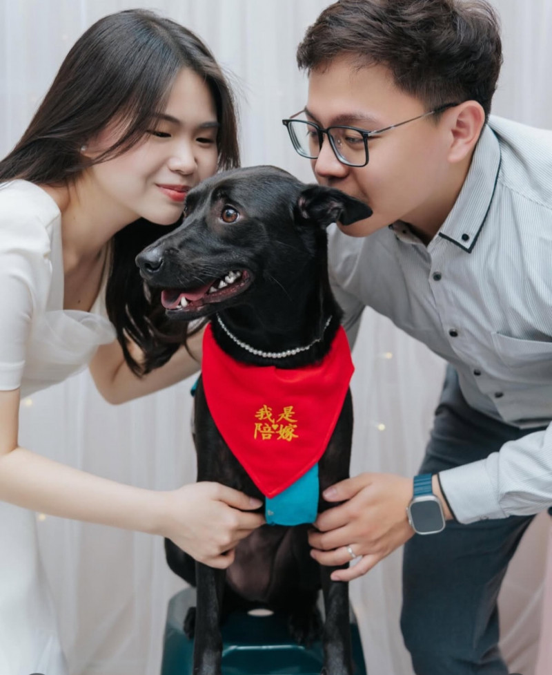 簡嘉芸（左）的愛犬成為「陪嫁」。（翻攝自IG）