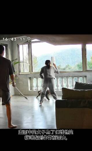 袁艾菲為了保護貓咪趕緊衝到猴子前面。（翻攝自IG）