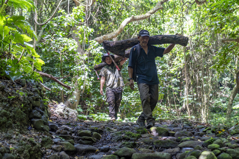 夏曼藍波安（右）與兒子踏入山林，以造舟技藝延續三代傳承。（目宿媒體提供）