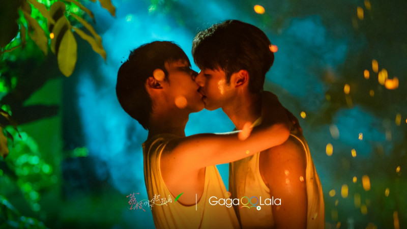 《荔枝樹下熱烈島》觸達人類感知世界六個層面。（杰德影音提供）