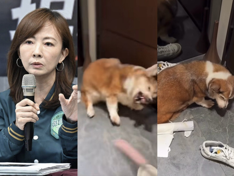 郭昱晴痛批手搖飲男老闆虐狗劣行。（組合照，本報資料照、翻攝自Threads）