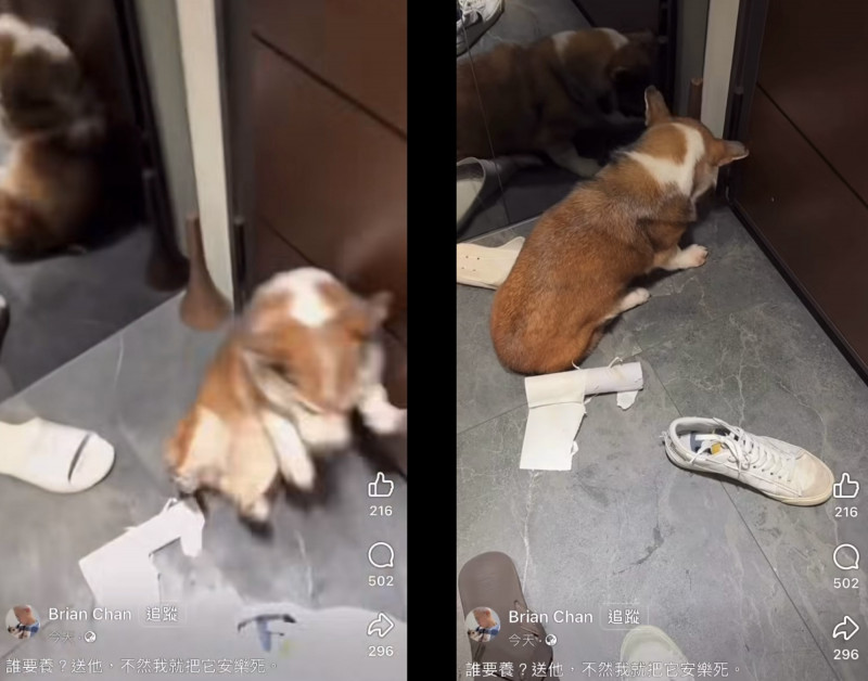 男子虐狗影片在社群瘋傳。（組合照，翻攝自Threads）