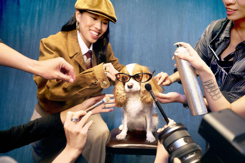 葛仲珊新歌MV愛犬當主角 跨年獻驚喜