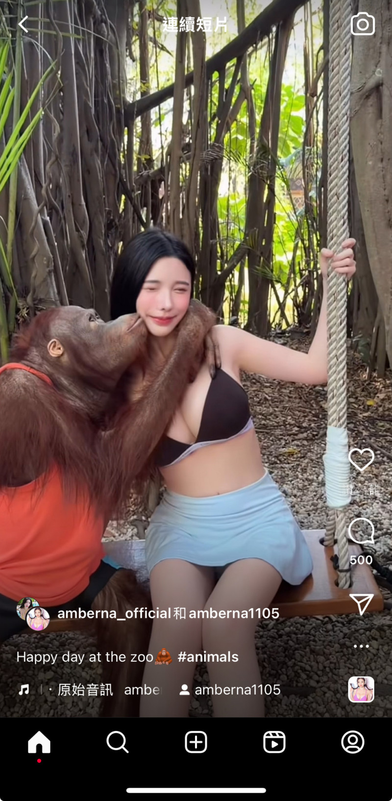 藍星蕾被猩猩摟住。（翻攝自IG）