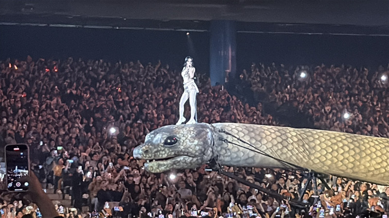 蔡依林踏上巨型蟒蛇霸氣繞場。（讀者提供）