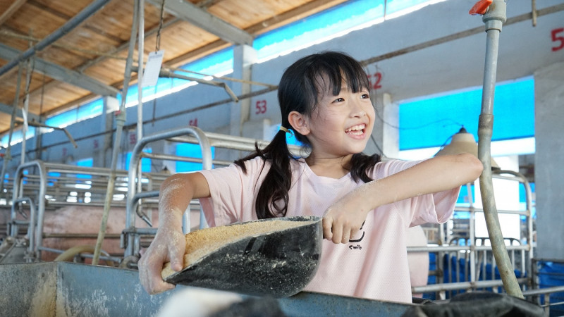 榮獲第60屆金鐘獎「兒童節目獎」、「節目類剪輯獎」的《歡迎光臨我的牧場》與國際作品一同角逐競賽類「最佳電視／網路系列節目」獎項。（公視提供）