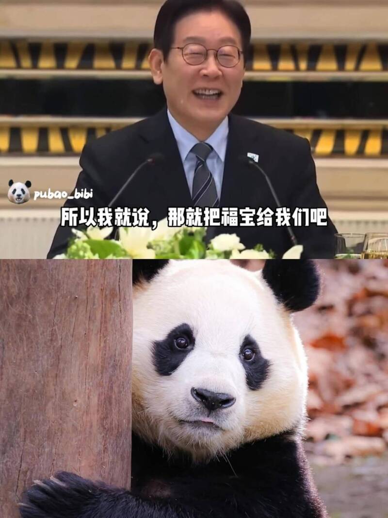 從李在明（上）的一句玩笑話就能看出大貓熊福寶在韓國民眾心中地位。（翻攝自Threads@pubao_bibi）