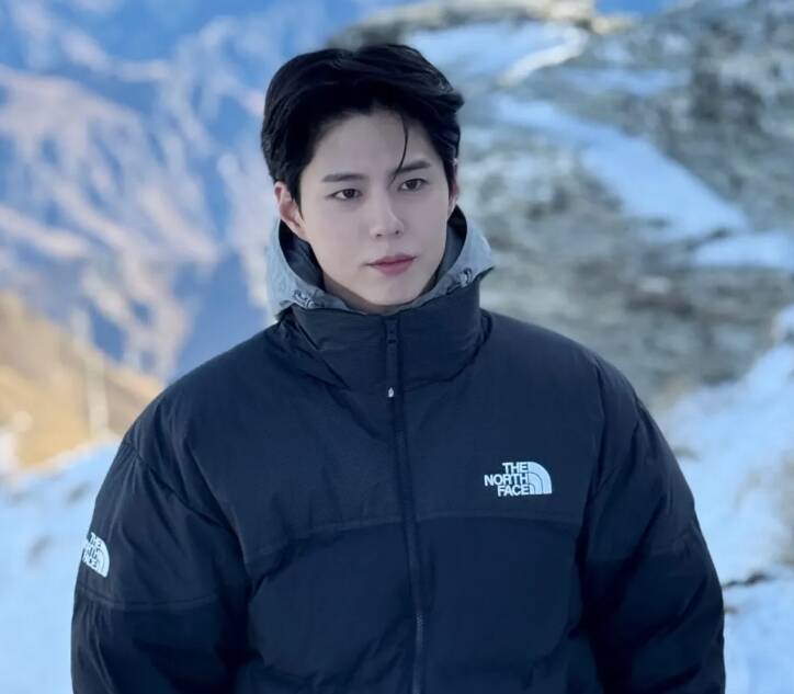 朴寶劍在最新象廣告中穿上THE NORTH FACE羽絨外套。（翻攝自網路）