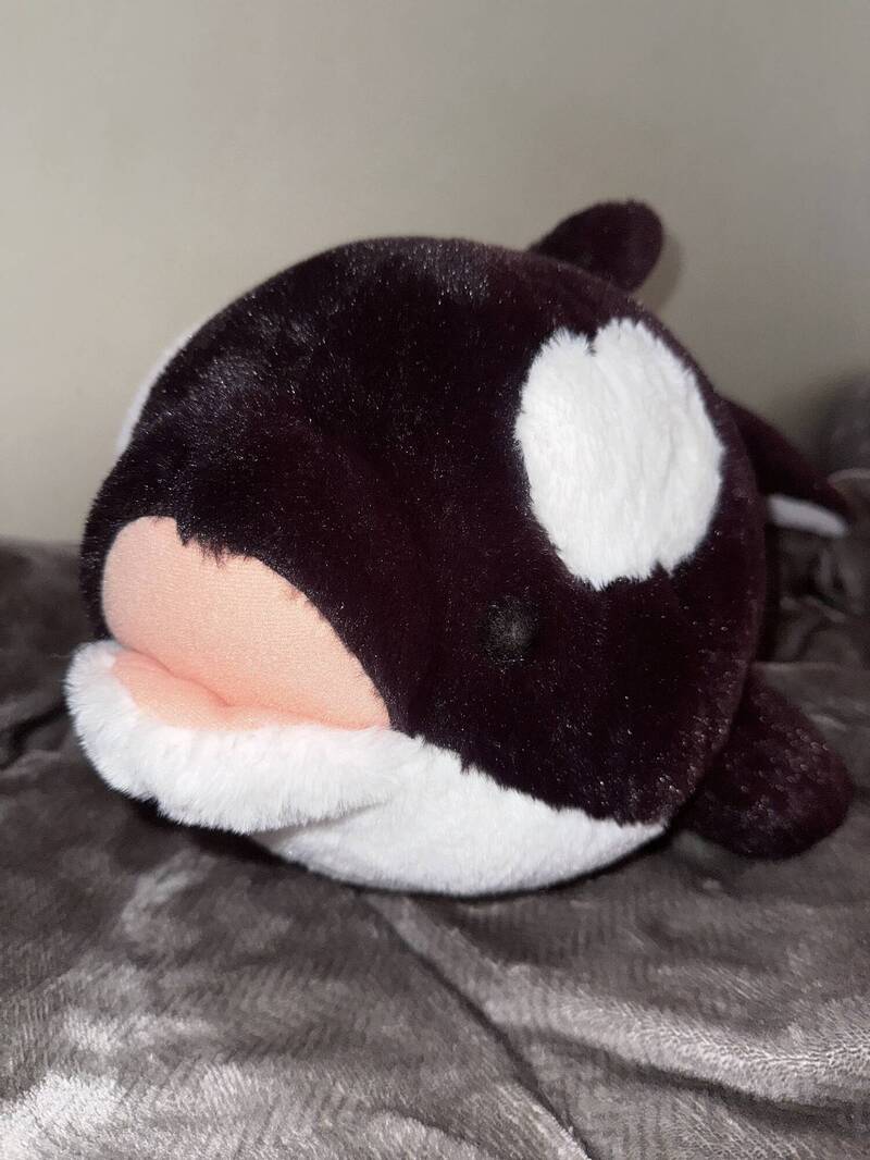 水宙翠發文解釋，拍照當時她抱著這隻虎鯨娃娃。（翻攝自X）