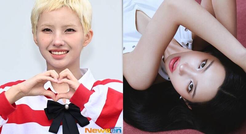 田小娟有別去年金色短髮，以一頭烏黑長髮登上國際中文版。（本報合成圖，翻攝自Newse／IG）